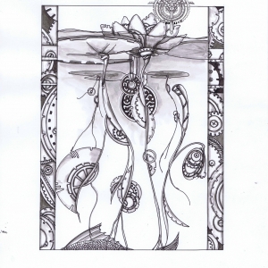 Waterlilies with gears viewed from under the water 