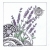 lavenderleaning100wm.jpg