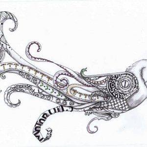 Colombe de Provence : **SOLD**